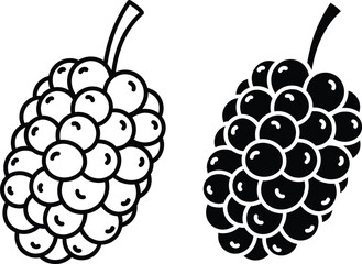 Mulberry Fruit Outline and Solid Icon
