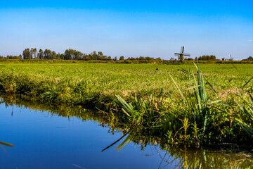 Peaceful meadow in the Netherlands featuring lush green grass and a small windmill on the horizon.