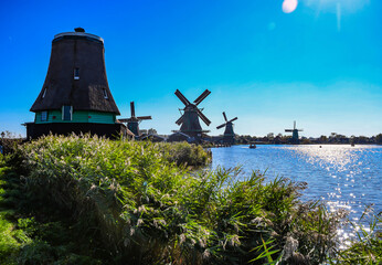 Atmospheric landscape of Zaanse Schans windmills seen through tall grass with sun reflection