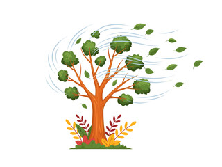 Obraz premium Green tree with brown trunk experiencing strong wind, leaves flying, autumn at base.