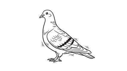 Simple Line Art Drawing of a Standing Pigeon
