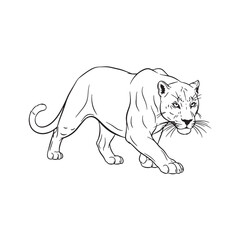 Line Art Drawing of a Stalking Panther