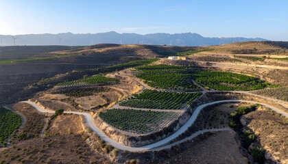 Sweeping aerial scene of terraced regenerative agriculture fields in dry, hilly terrain with mountains and wind turbines