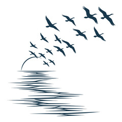 Flock of geese flying over rippling water at sunrise or sunset silhouette