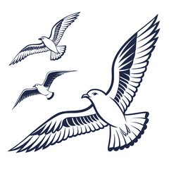 Fototapeta premium Three stylized dark blue seagulls in flight against a white background with wings spread wide