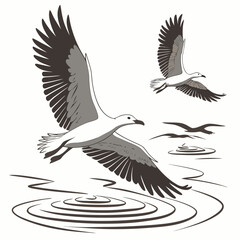 Two seagulls in flight above rippling water with smaller birds in the background