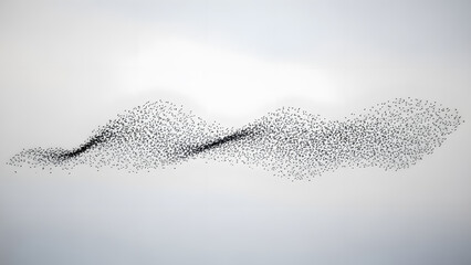 Murmuration of Starling Birds Forming Wave Shape in Sky