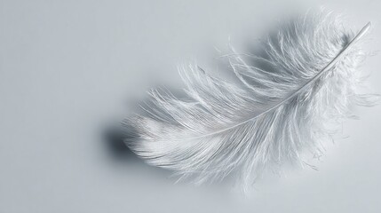 Obraz premium A soft white feather rests on a grayscale background, delicate and airy