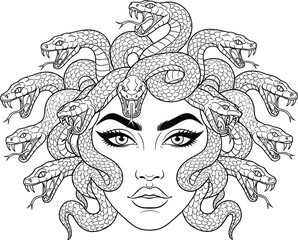 Medusa, myth, snake, face, vector, illustration, drawing, blackwhite, goddess, Greek, fierce, symmetrical, tattoo, fantasy, design
