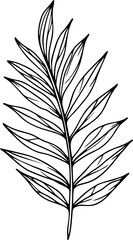 Obraz premium Elegant Hand-Drawn Tropical Palm Leaf Line Art Illustration for Botanical Decor and Design Elements