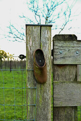 A single, traditional wooden clog hangs on a mossy wooden fence post next to a wire fence. A charming rural detail near Zoelen, Gelderland.