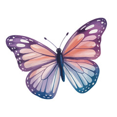 Watercolor Butterfly Illustration. Vibrant Purple, Pink, and Blue Wings with White Accents on White Background
