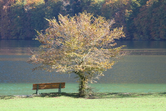 Eindr&uuml;cke am K&ouml;nigssee