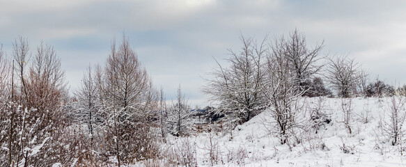 Winter landscape with a snow-covered hill with bare trees and shrubs standing on it and a gray cloudy sky above them creating a cold, calm and spacious nature background