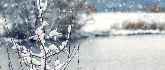 Macro photography of a shrub branch covered with fresh snow against the background of a frozen reservoir and snowfall creating a frosty, cold and calm winter background with space for text
