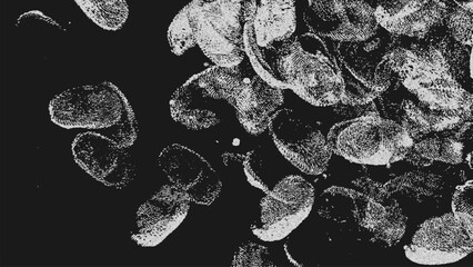 Exploring the beauty of monochrome fingerprints arranged in an abstract pattern with halftone effects against a dark background.