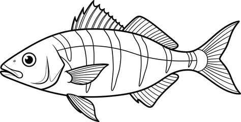 Detailed Line Art Fish Vector Illustration with Visible Fins and Stripes, Perfect for Marine Biology, Fishing, Seafood Menu Design, and Nautical Graphic Projects