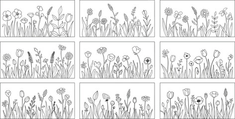 wildflower, panel, botanical, nature, flower, grass, vector, illustration, drawing, blackwhite, petal, leaf, spring, artistic, decorative