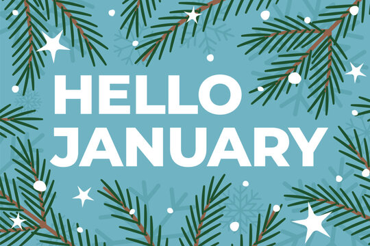 hello january text with fir tree branches and snowflakes- vector illustration