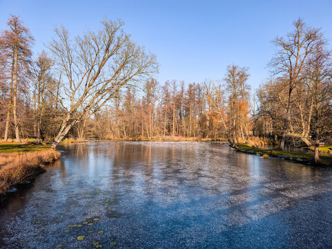 Partially frozen blatna castle moat showing reflection of a clear blue winter sky, surrounded by bare trees in the park