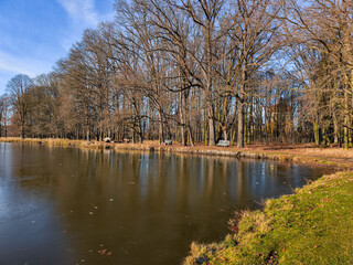 Partially frozen pond reflecting bare winter trees in blatna castle park, jihocesky kraj, czechia. Calm natural landscape