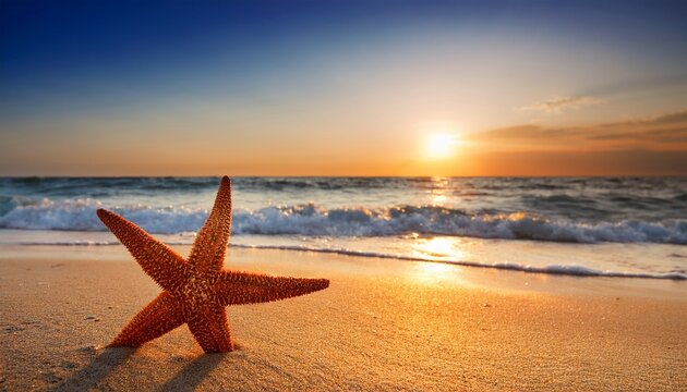 seesterne am strand