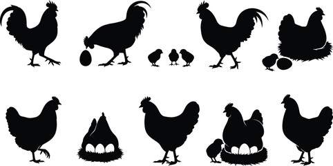 Chicken Silhouettes Set | Black and White Vector Illustration