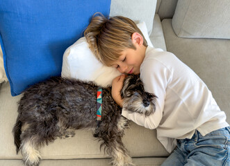 Top view of a little blond boy hugging his schnauzer dog lying on the couch at home. Lifestyle concept.