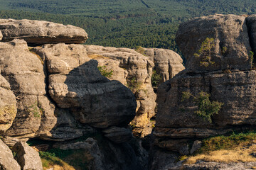 Rock formations and pine trees in the Castroviejo nature reserve, in Duruelo de la Sierra, Soria, Castile and Leon, Spain.