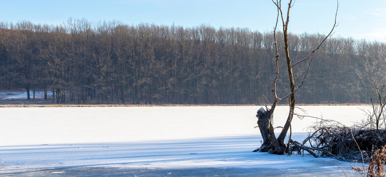 Calm winter landscape frozen lake covered snow icy open water foreground dry tree dark winter forest background