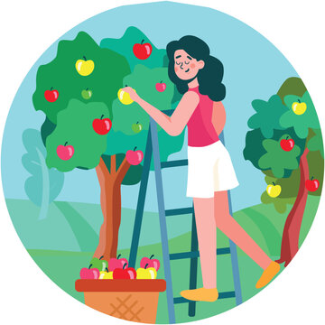 Woman picking apple from tree vector scene