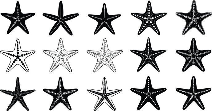 Starfish silhouette vector set, black and white marine icons, sea life pattern illustration for ocean, nature, biology, and educational design themes
