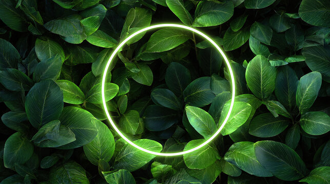 A neon circle illuminates a bed of vibrant green leaves, creating a striking contrast. The leaves are lush and healthy, filling the frame. 