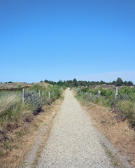 Nordic walking course in the Dunes of Sankt Peter-Ording,Eiderstedt peninsula,North Sea,North Frisia,Germany
