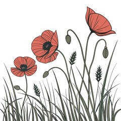 Naklejka premium Delicate red poppies bloom in a field of tall green grass and wheat stalks