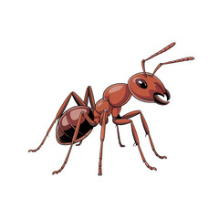 ant isolated on white background
