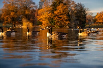 Fototapeta premium Richmond, Virginia