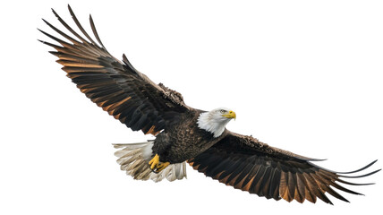 Naklejka premium Majestic bald eagle soars powerfully, wings spread wide in flight, embodying freedom and strength in nature