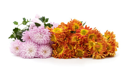 Mixed chrysanthemum bouquet isolated on white background.
