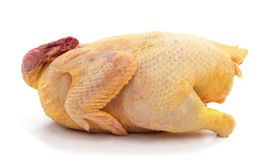 Raw whole chicken isolated on white background.