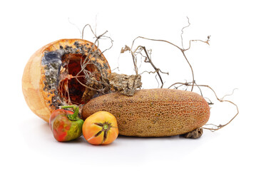 Rotten vegetables and moldy pumpkin still life.
