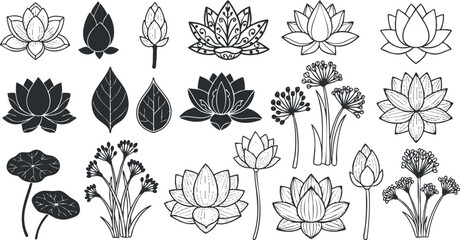 Obraz premium A collection of various flower and leaf illustrations in black and white outline vector style, suitable for botanical design projects