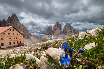 Fototapete bei efototapeten.de bestellen   