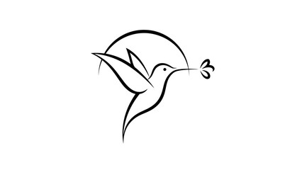 Elegant flying hummingbird line art carrying a leaf