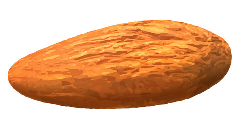 Almond nut without shell isolated on white background. Realistic 3d Vector illustration. Ready to use for your design, presentation, promo, ad. EPS10.