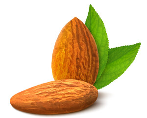 Peeled almonds isolated on white background. 3D realistic almond from different angles. Fresh nuts. Vector illustration. Ready to use for your design, presentation, promo, ad. EPS10.