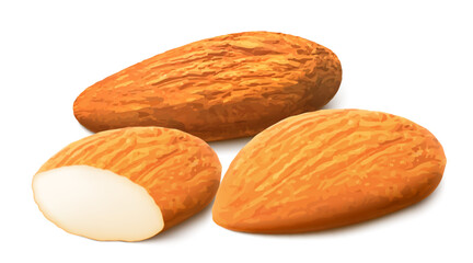 Almond nut composition, different statements. Whole and cracked nuts, hulled and raw kernels and green leaves. Good for labels and stickers, packaging design. Realistic 3d Vector illustration