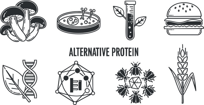 A set of alternative protein icons featuring mushrooms, DNA helix, lab equipment, and insects in minimalist black and white vector style, suitable for food innovation and health projects