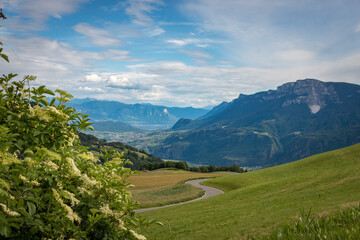 Naklejka premium Rolling pasture above the Adige Valley looking toward Ueberetsch (Oltradige), south of Bolzano; winding street and distant mountains under blue sky with cloud