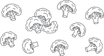A collection of broccoli illustrations in outline minimalist vector style, suitable for healthy eating and cooking projects